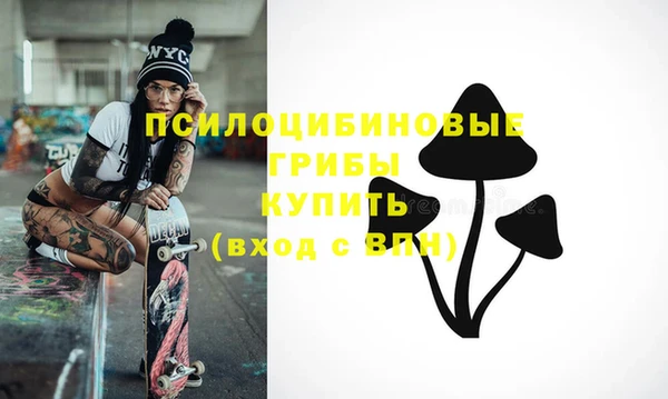 а пвп мука Богданович