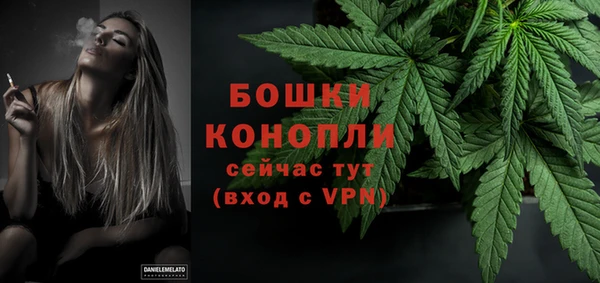 ECSTASY Богородск