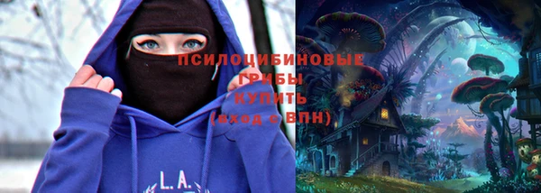 трава Богородицк